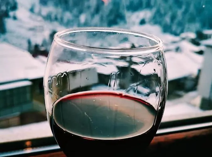 ゲストハウス виевци Vievo