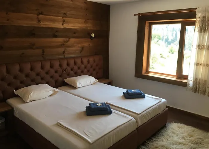 ゲストハウス виевци