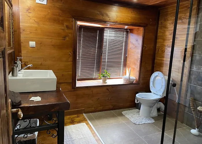 ゲストハウス виевци Vievo