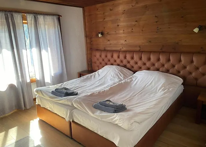 виевци ゲストハウス Vievo